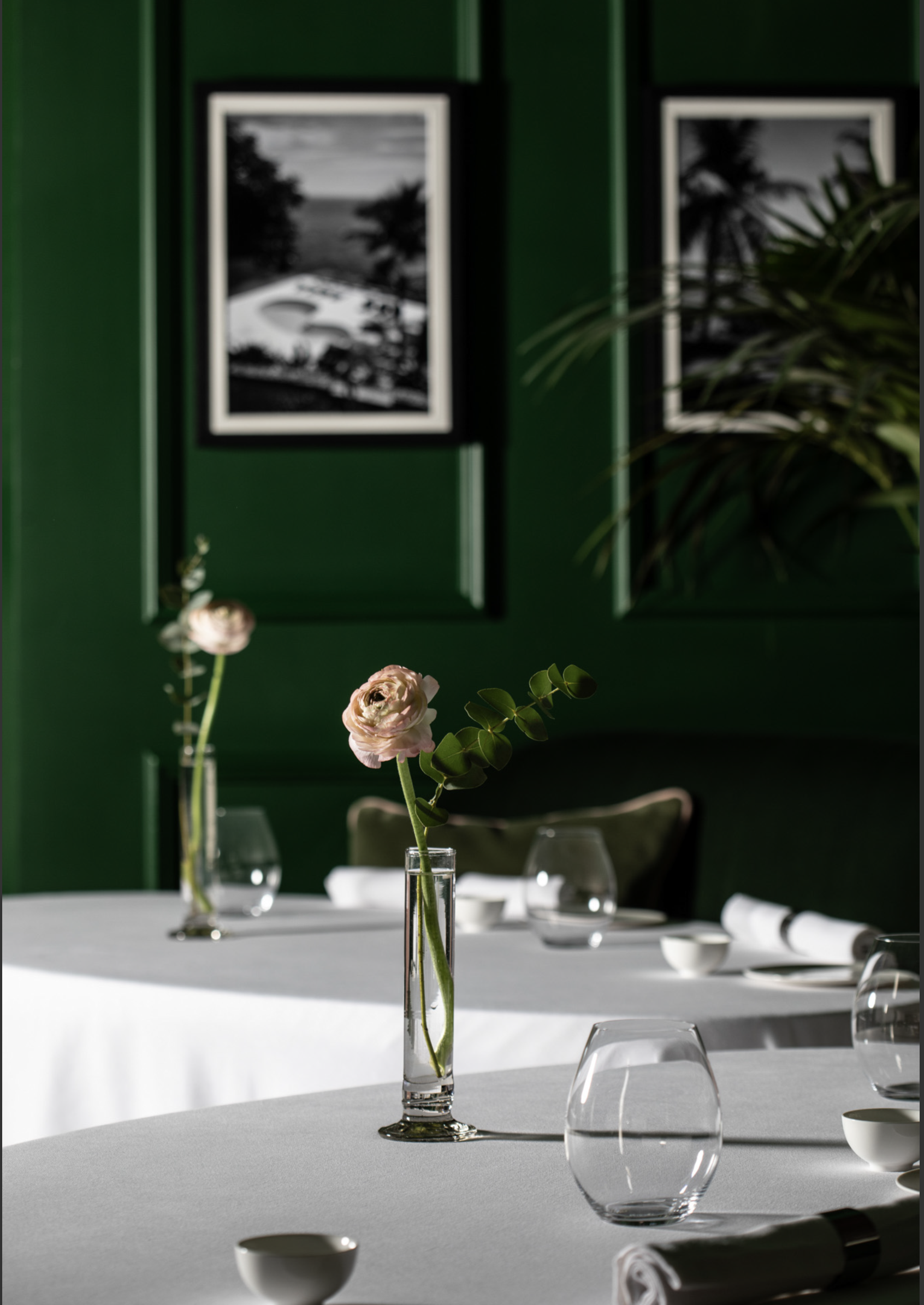 Private dining table setting
