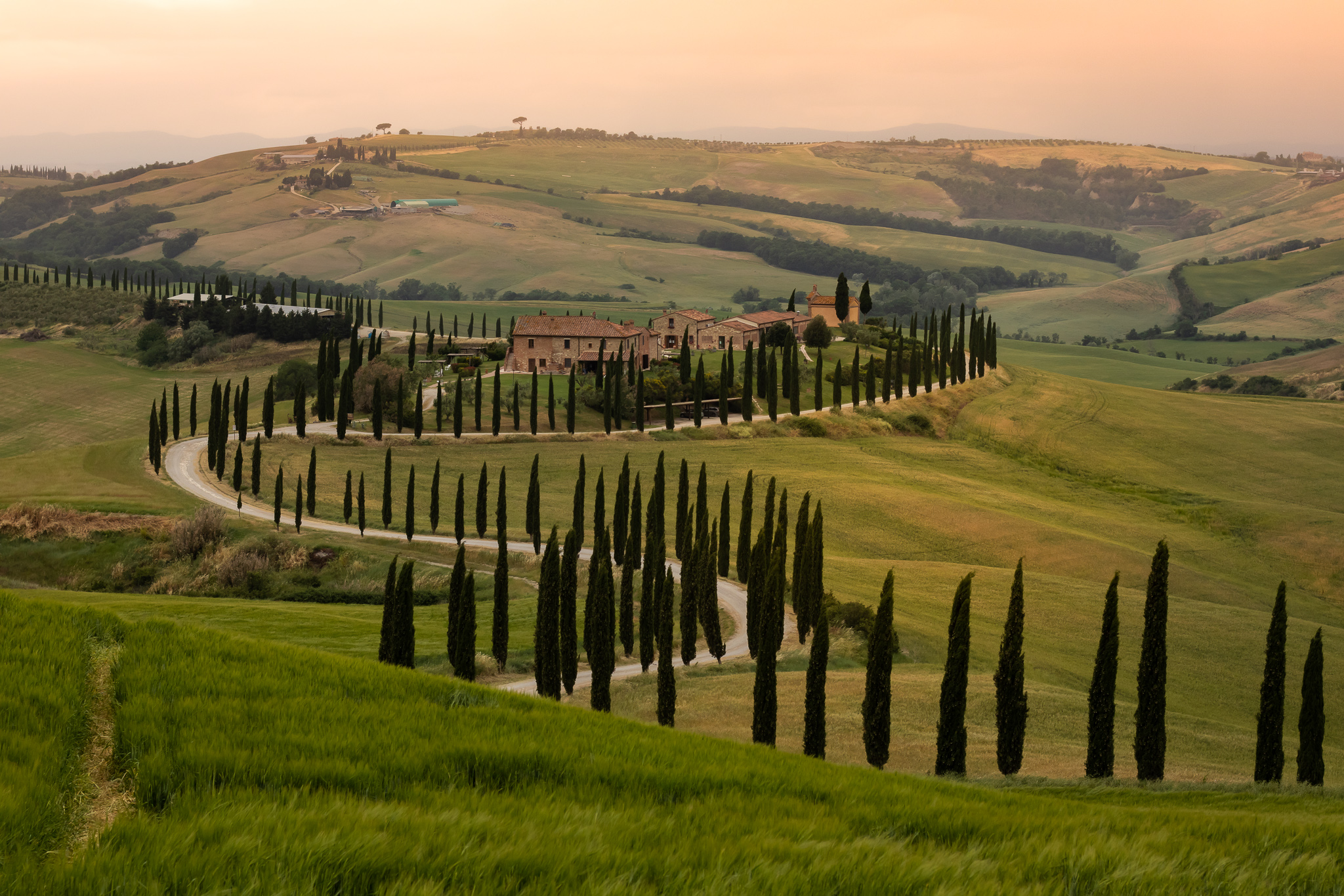 The rolling hills and cypress avenues of the Val d'Orcia